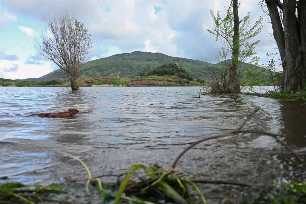 Image ajoutée par Rick