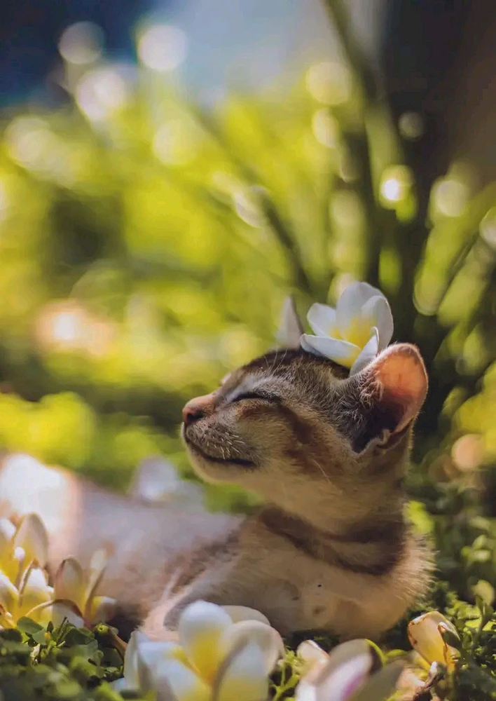 Image uploaded by Tanwi