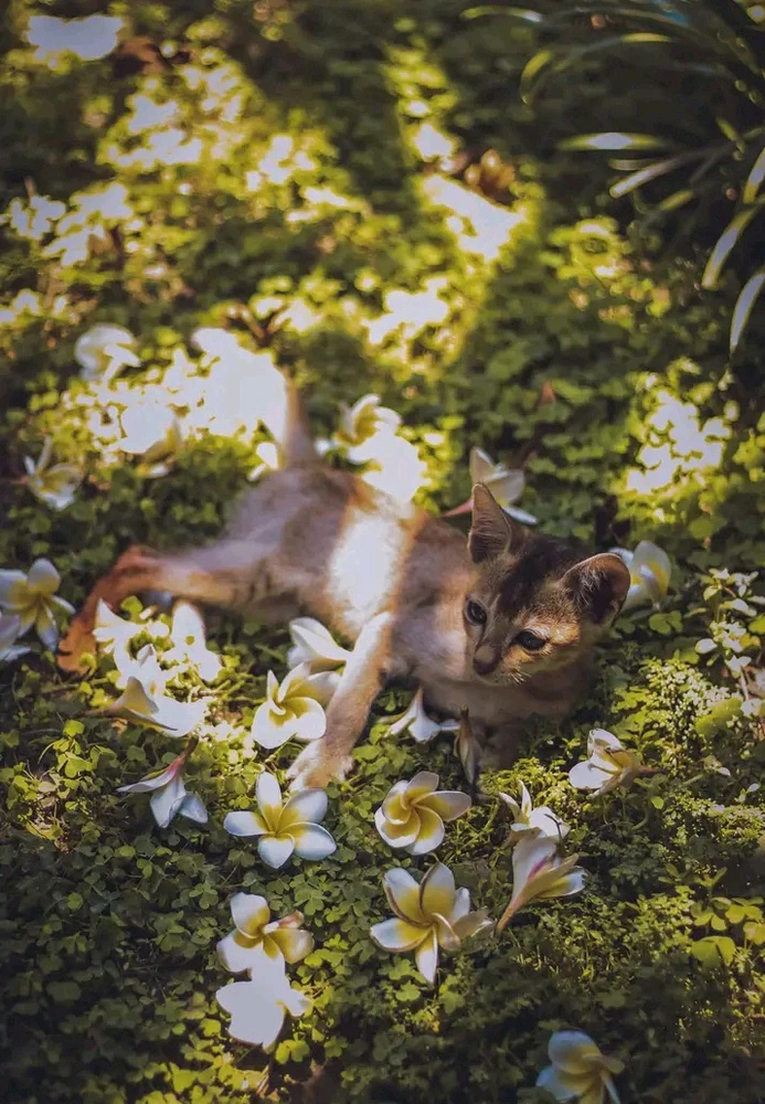 Image uploaded by Tanwi