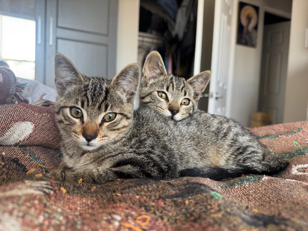 Image uploaded by Kevin