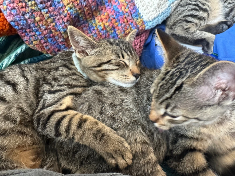 Image uploaded by Kevin