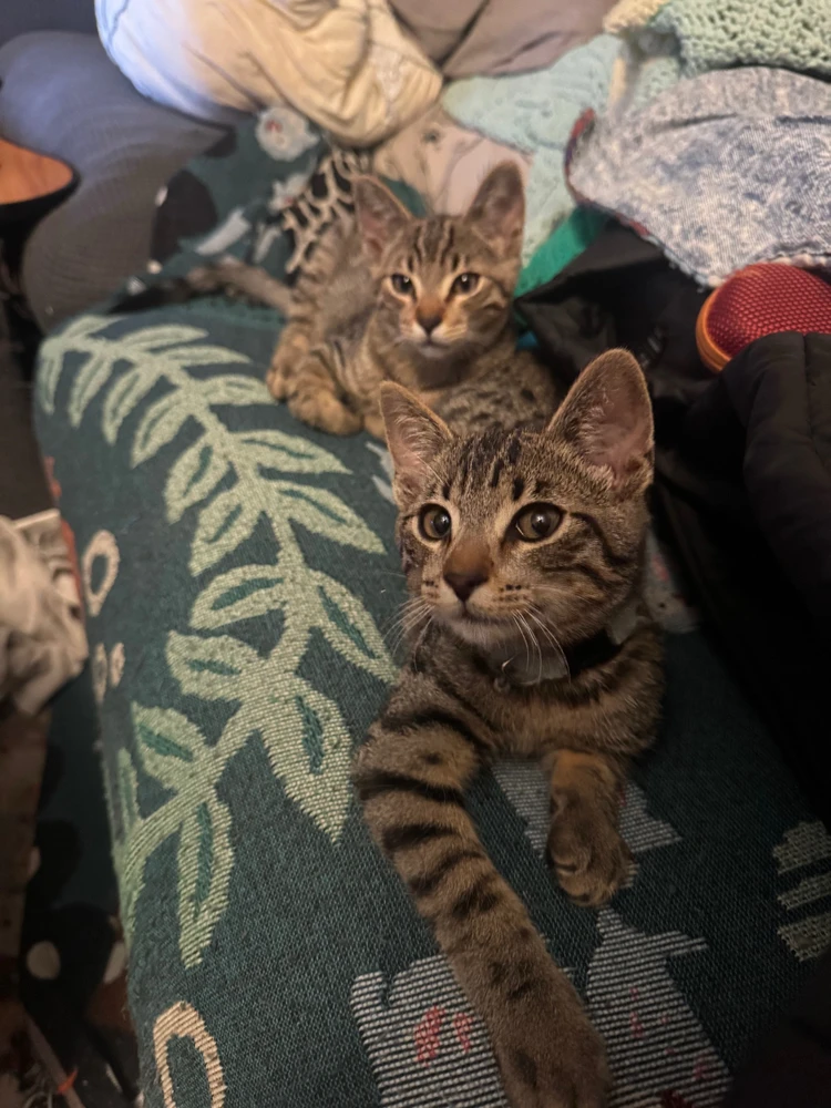 Image uploaded by Kevin