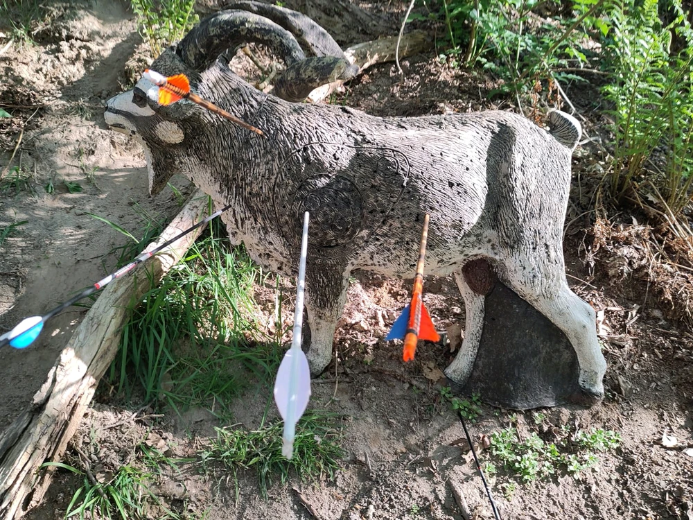 Bild hochgeladen von Alex