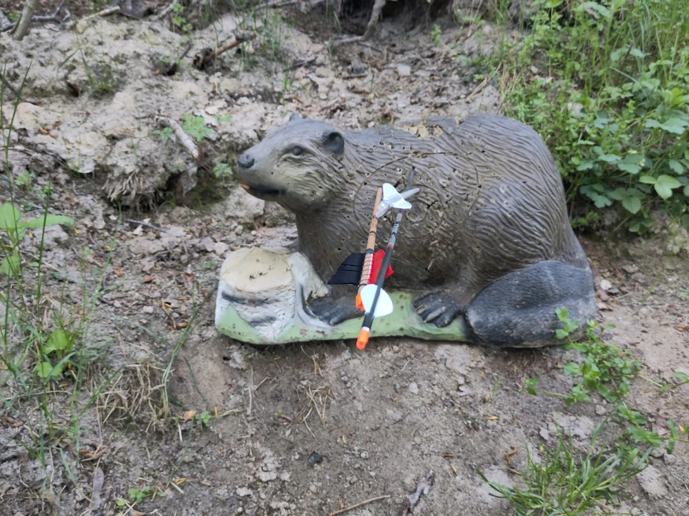 Bild hochgeladen von Alex