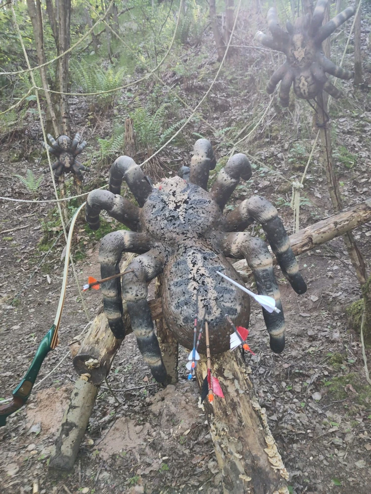 Bild hochgeladen von Alex