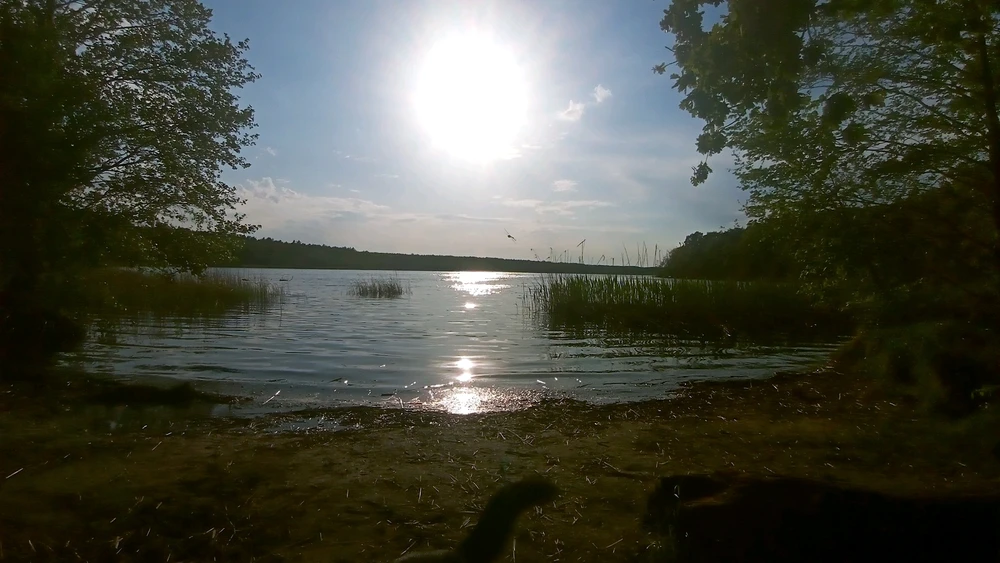 Lochness monster seen below 👇going north. Chase proceed.