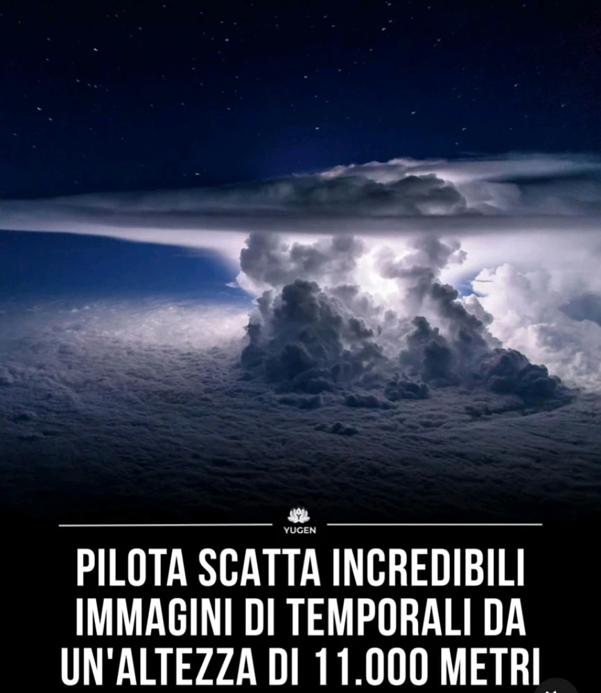 Immagine caricata da CX