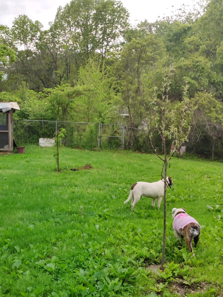 GIF uploaded by Dorian