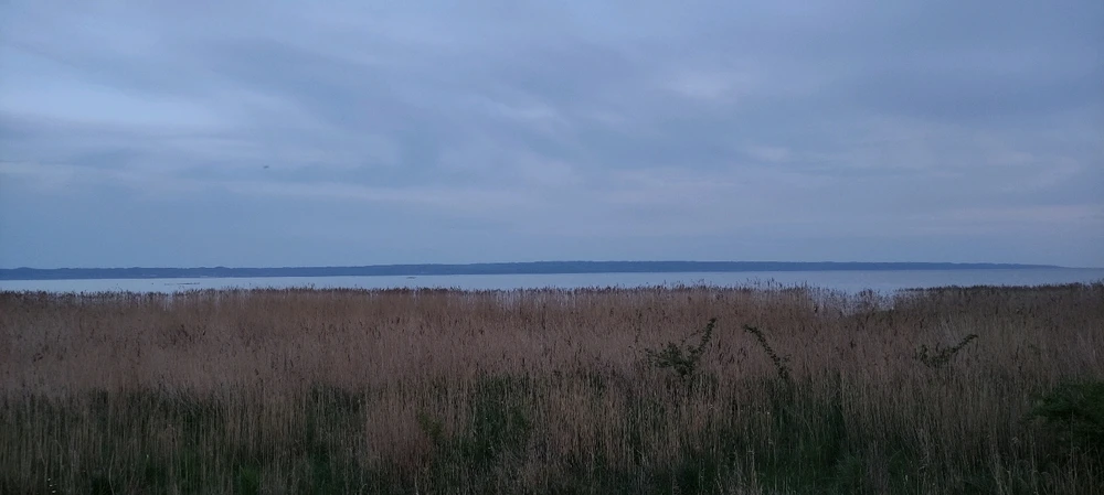 Zdjęcie dodane przez Piotr