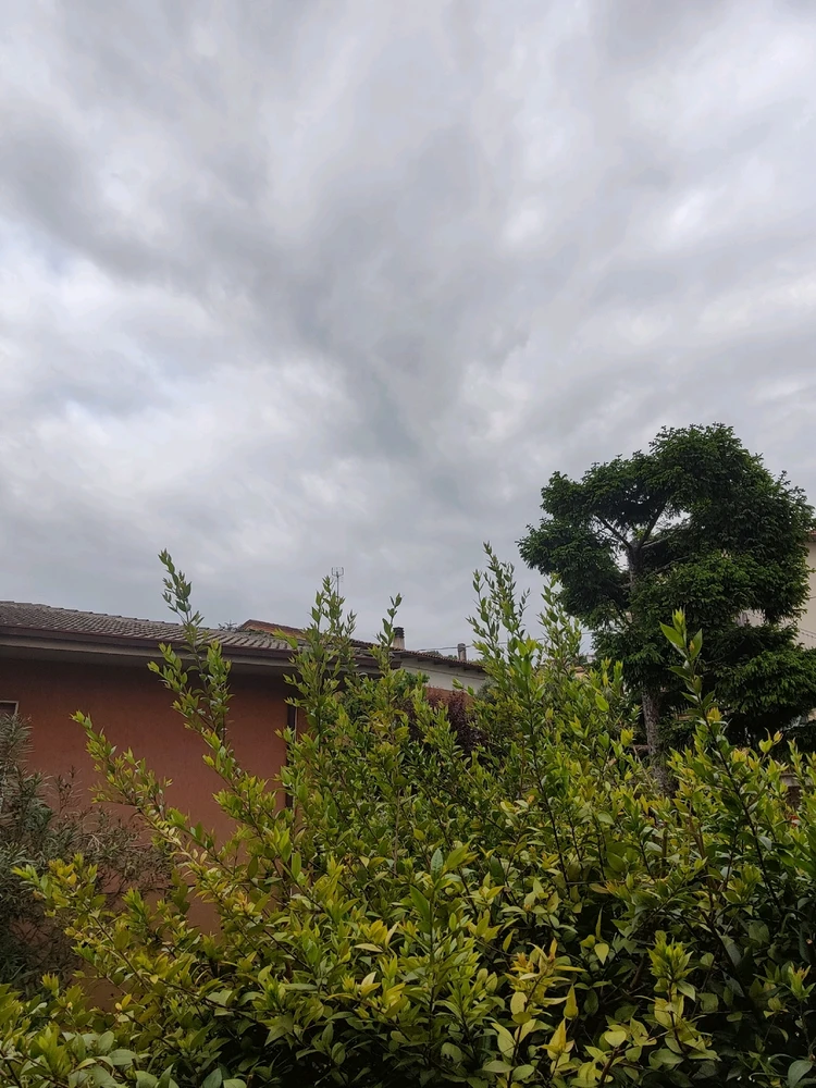 GIF caricata da Gabriele