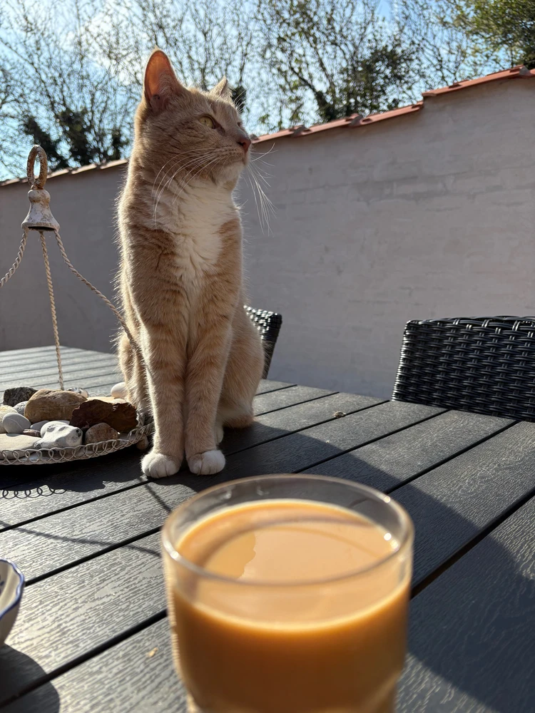 Billede uploadet af Lidia