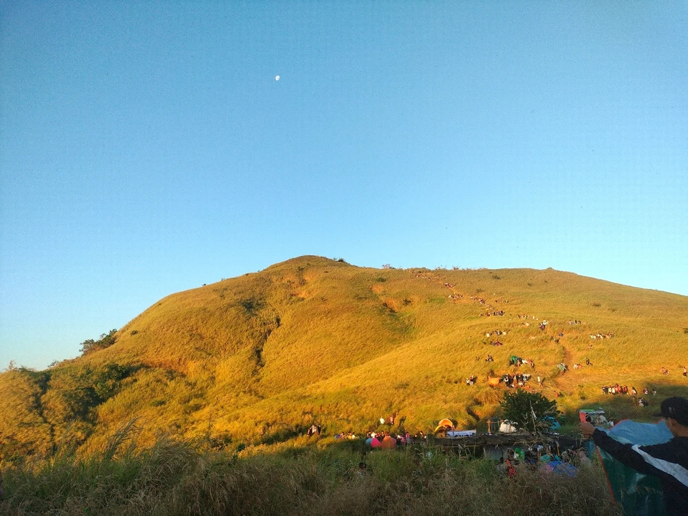 Image uploaded by Lando