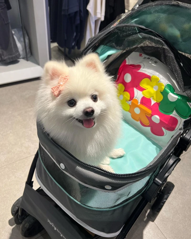 Lin Jiayu上傳的圖片