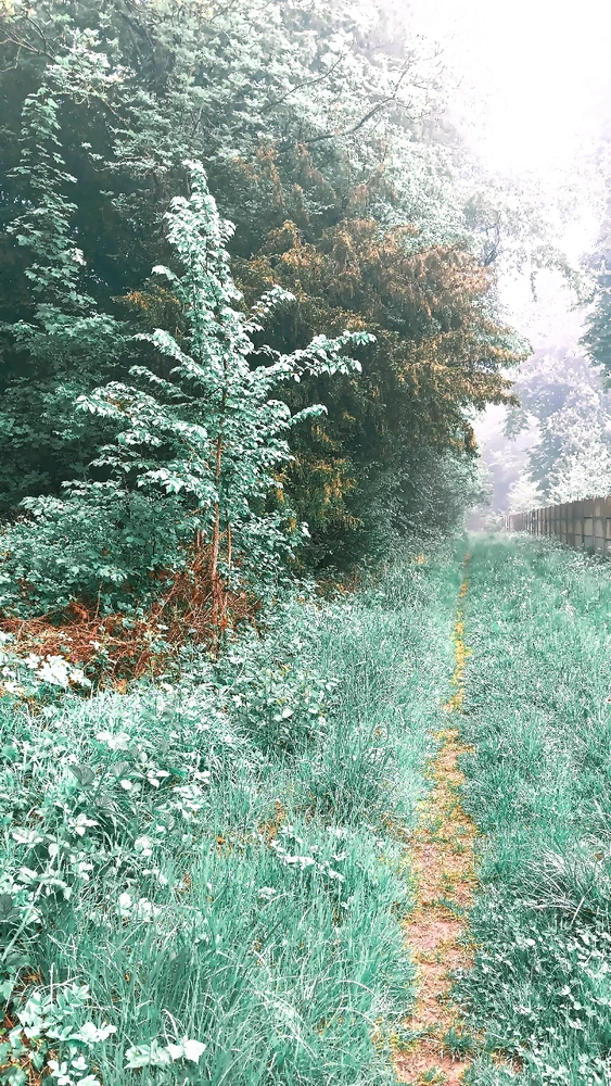 GIF ajouté par Angel