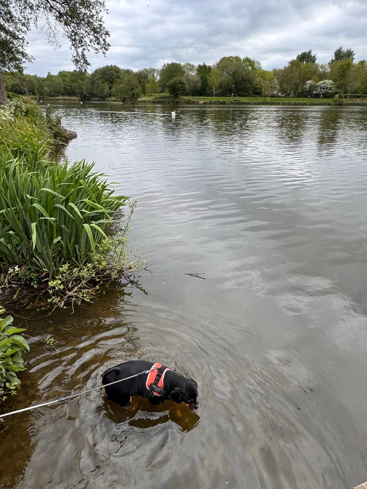 GIF uploaded by Oliver