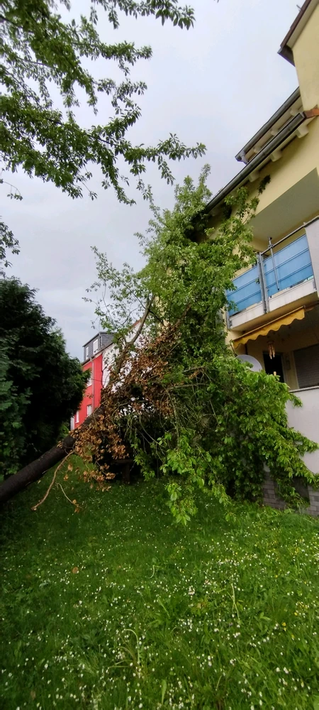 GIF hochgeladen von Peter🔸