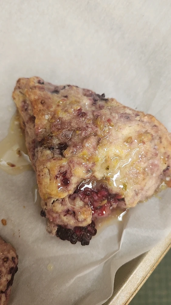 GIF uploaded by Christine