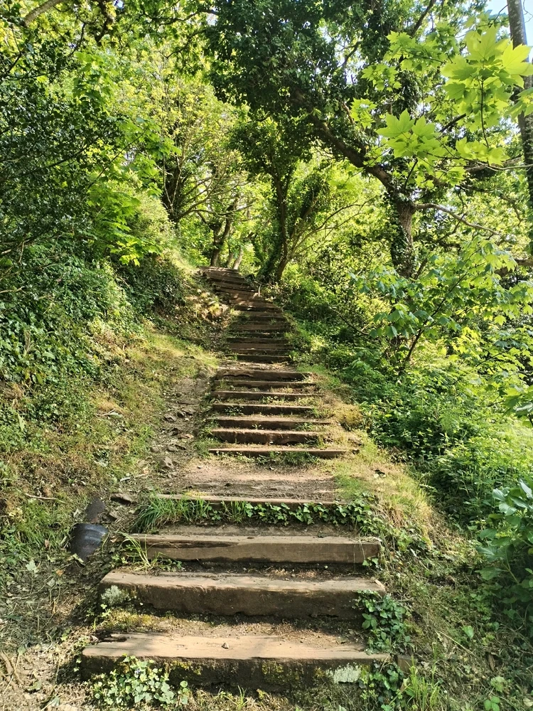 GIF ajouté par Aline