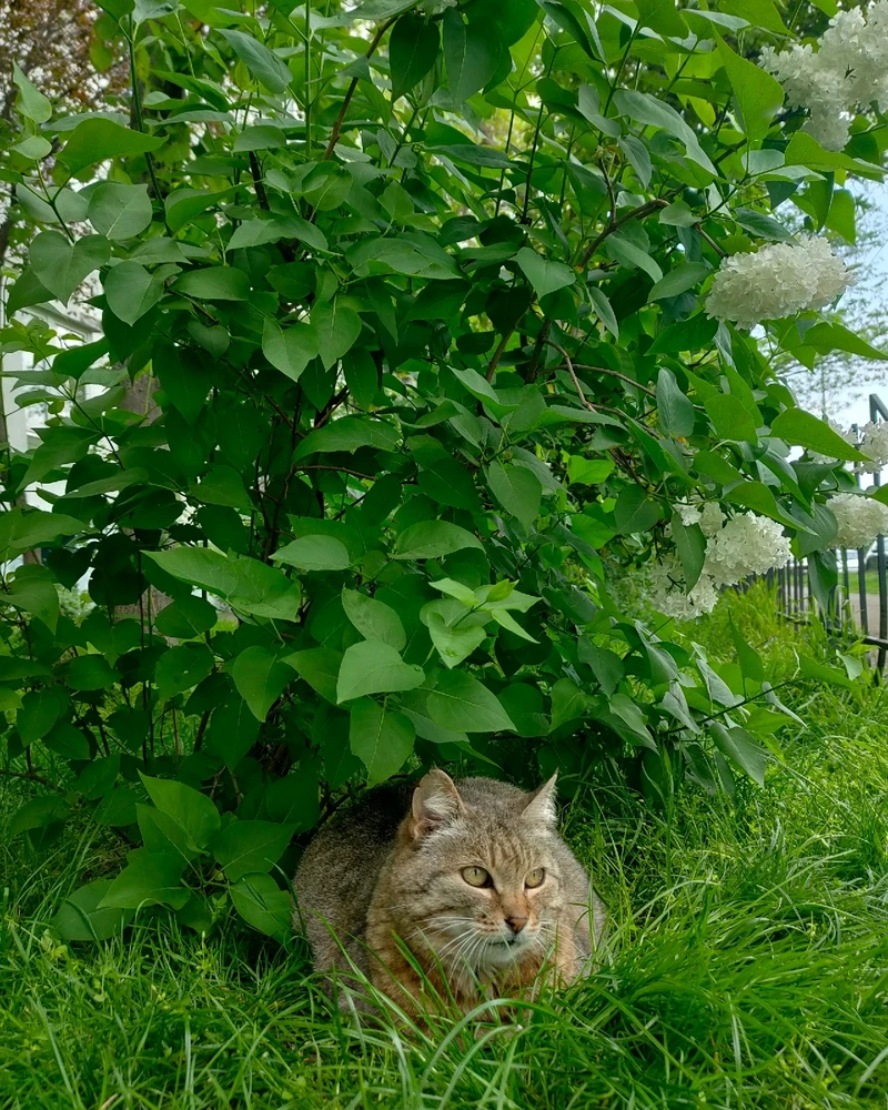 Гіфку завантажив Anna