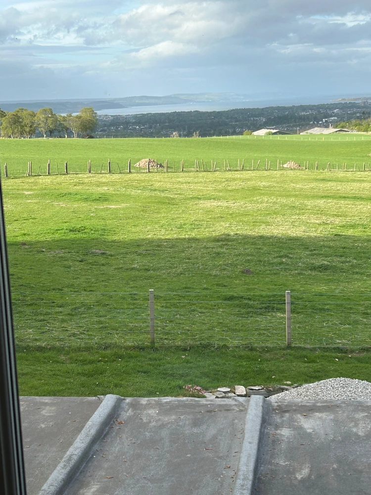 Image uploaded by Ronan