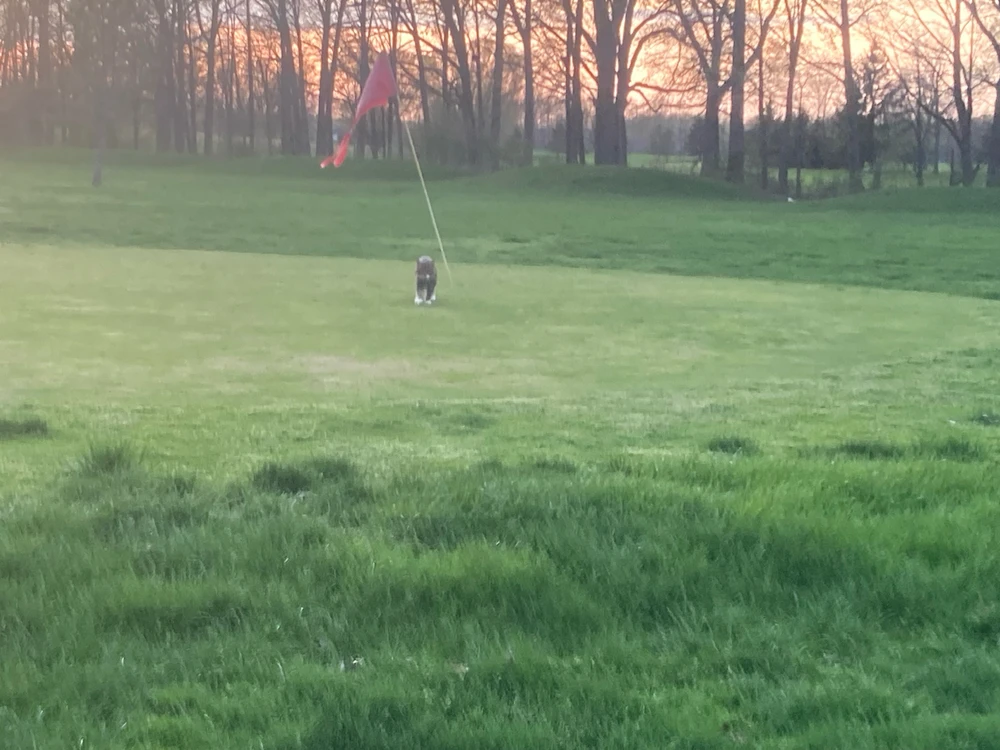 GIF opgelaai deur Alex