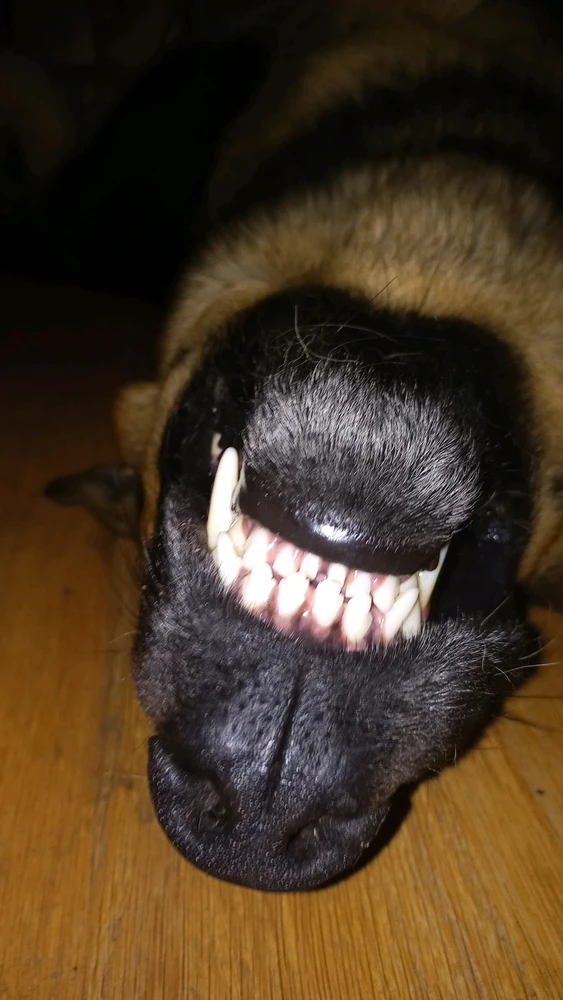 GIF dodany przez Leszy