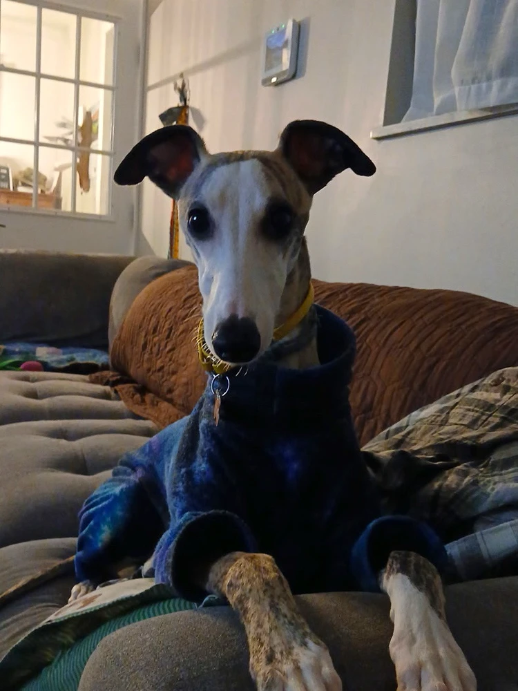 GIF uploaded by Derek Poland