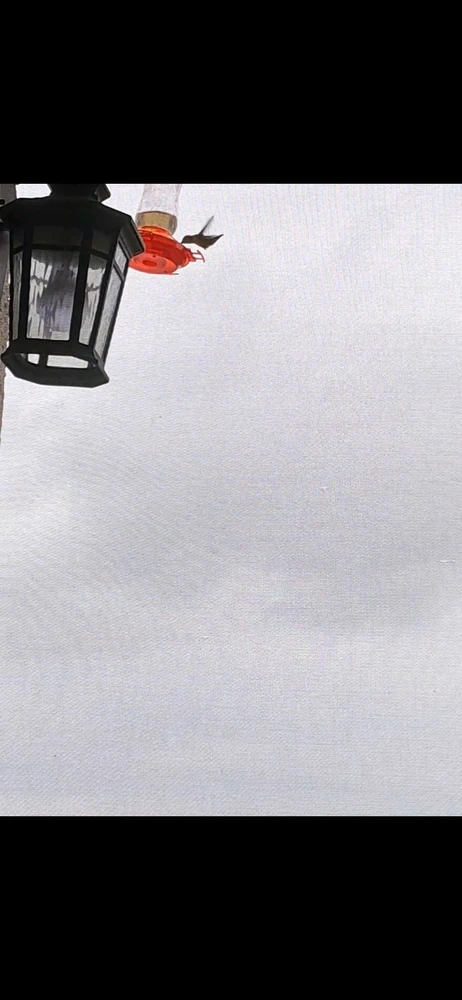 Image uploaded by Sky