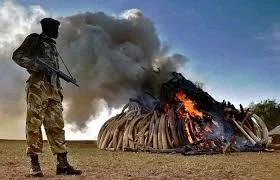 Image uploaded by Sky