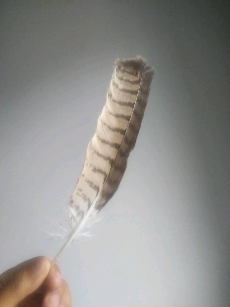 Maitén上傳的圖片