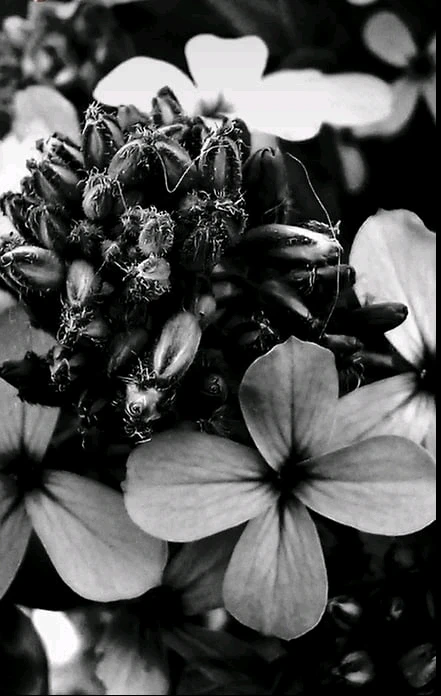 GIF uploaded by Broni