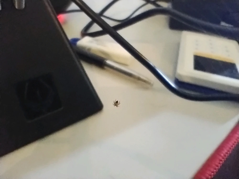 GIF geüpload door Neal