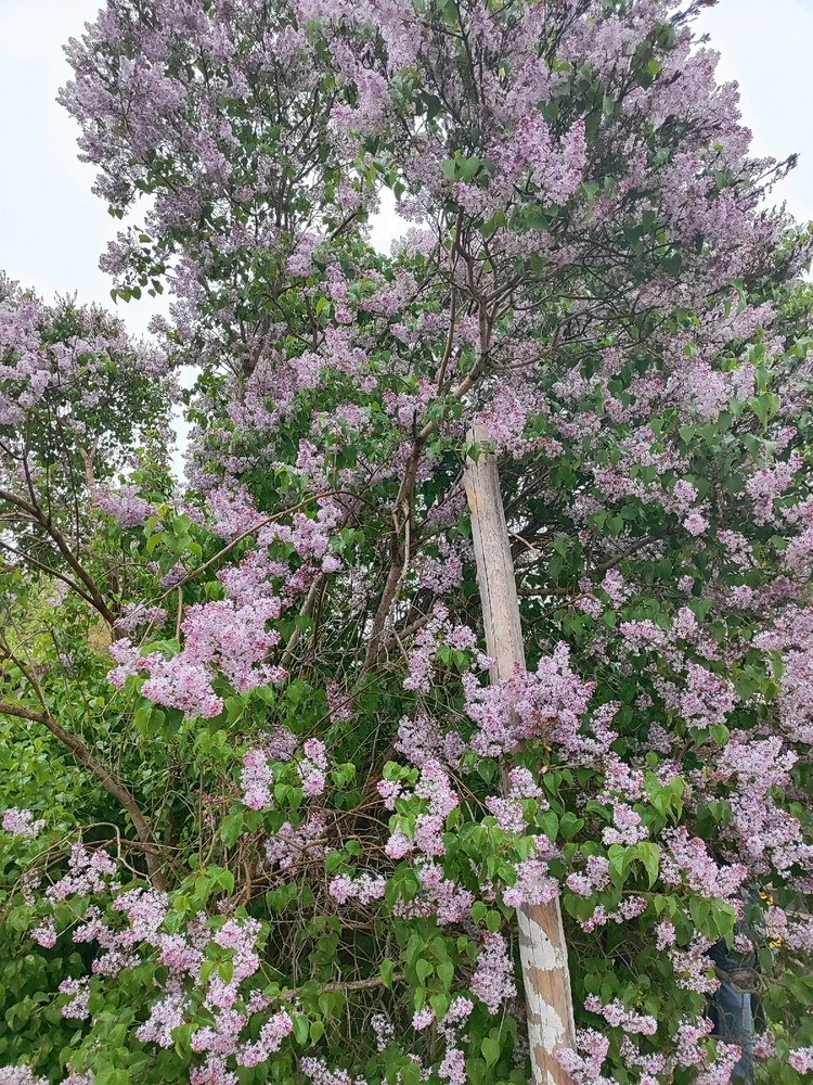 GIF uploaded by Elena