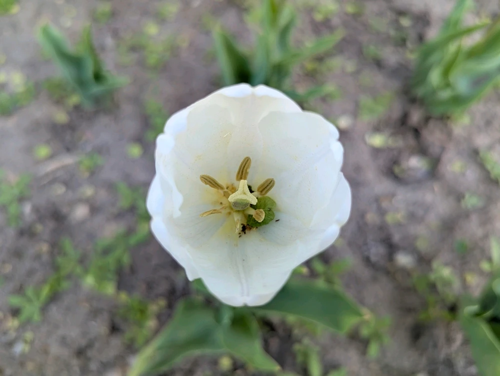 Image uploaded by RAY