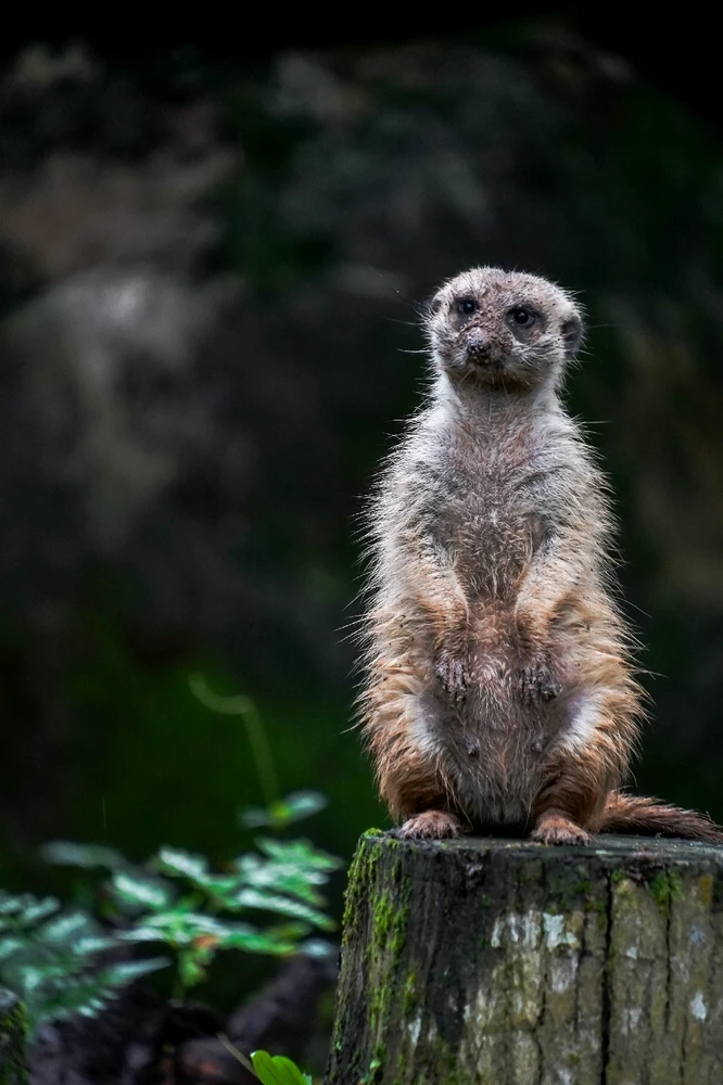 GIF uploaded by Hao Wen