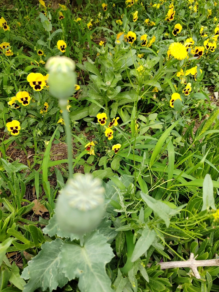 GIF hochgeladen von Ali💚💚💚