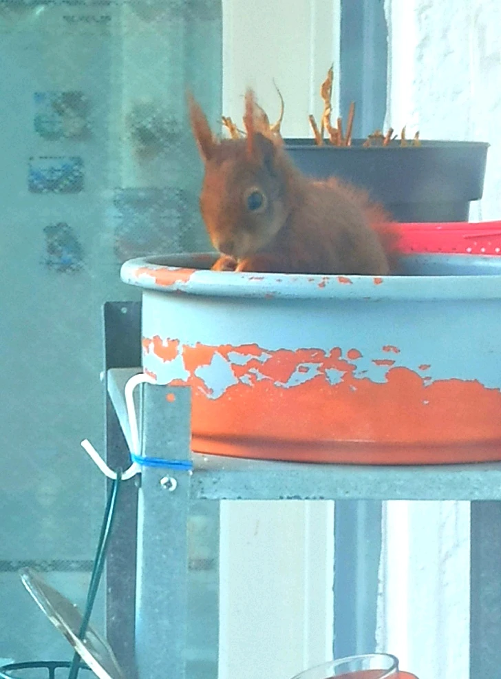 GIF hochgeladen von Christel