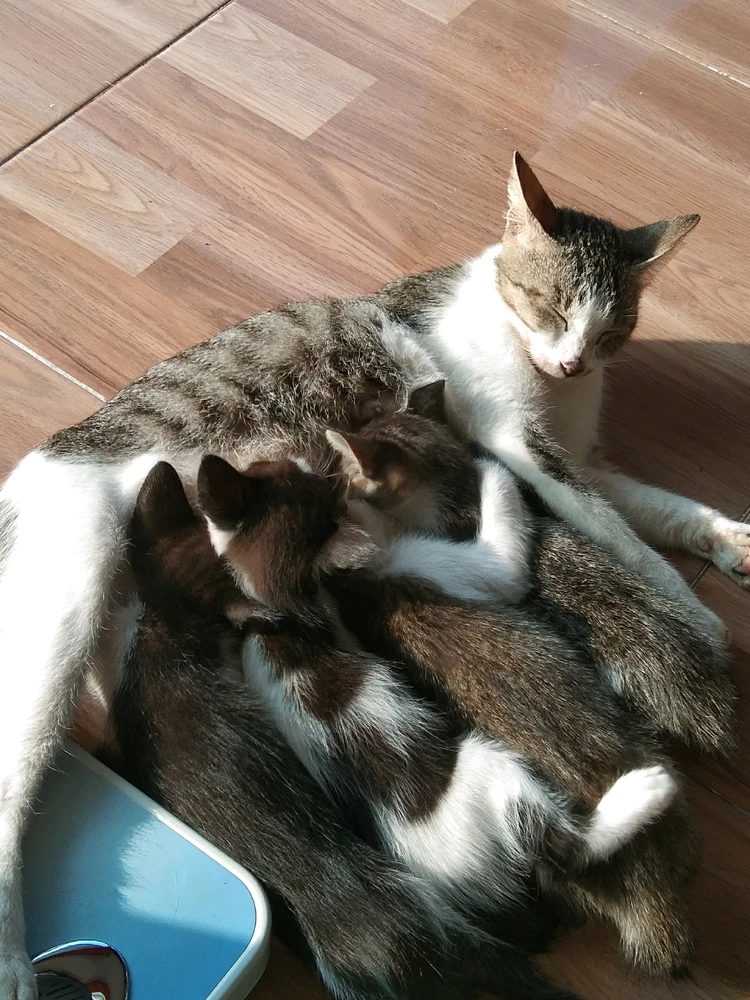 GIF uploaded by An