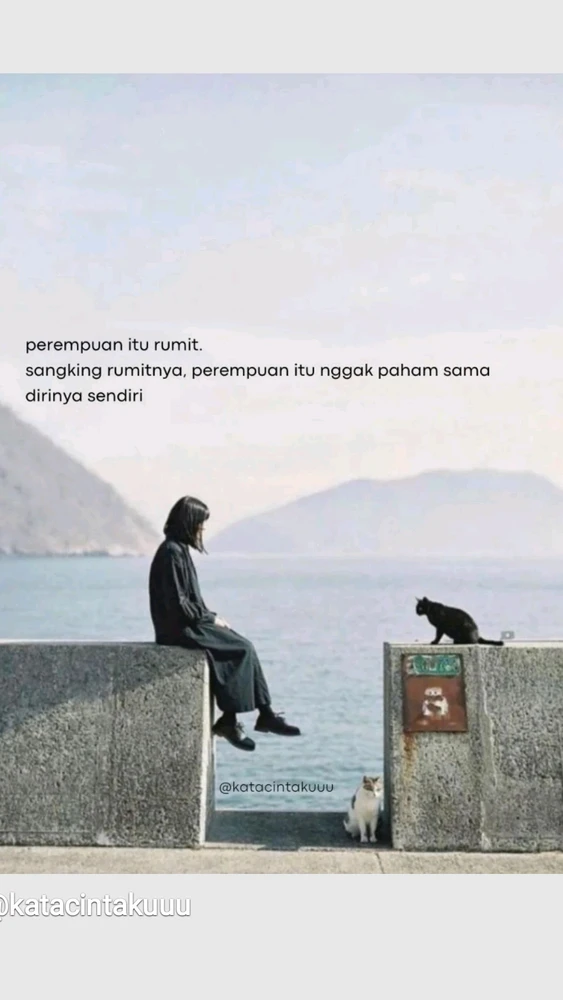 GIF uploaded by cka 🌼