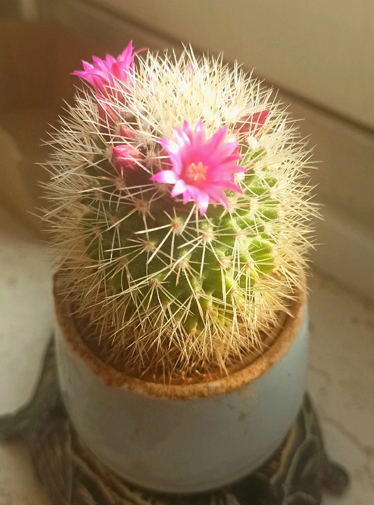 Bild hochgeladen von Christel