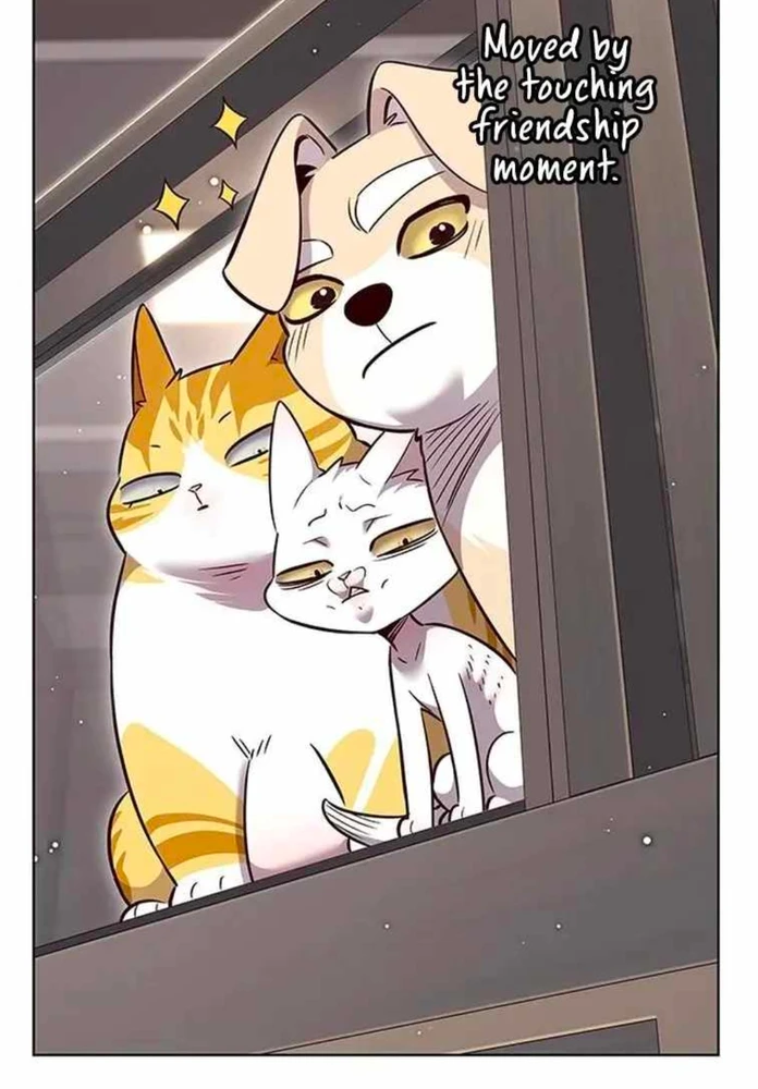 Manhwa Recommendations 💯