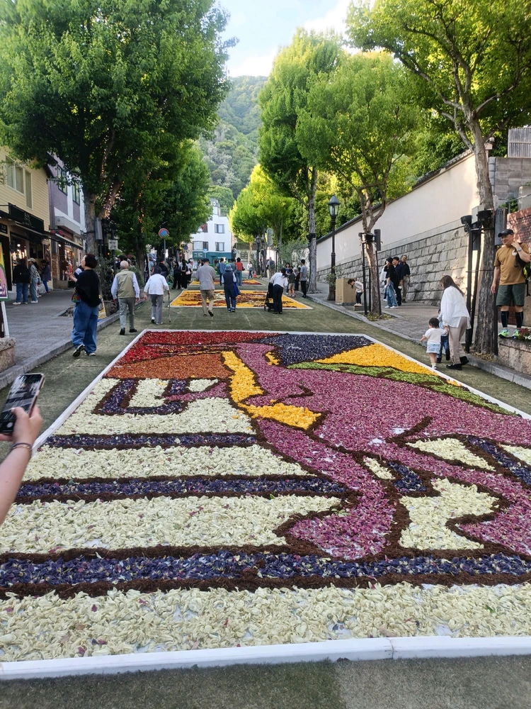 Image uploaded by Rene