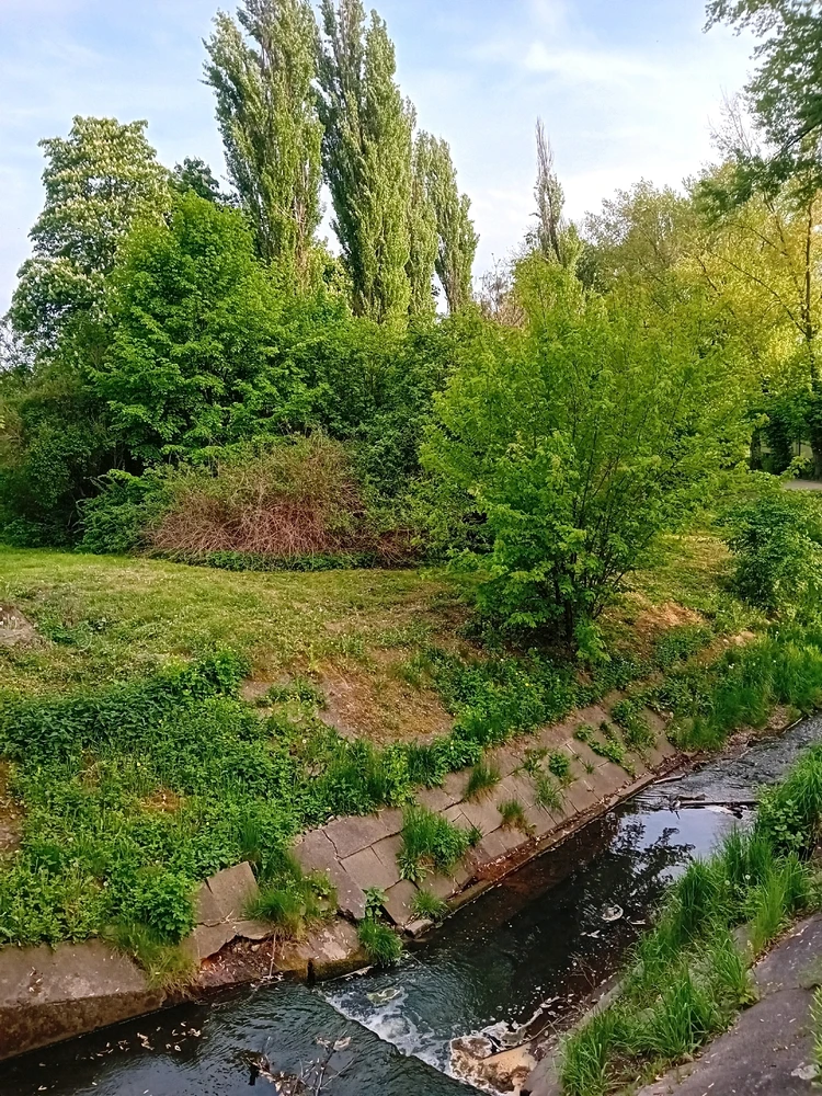 Zdjęcie dodane przez Karol