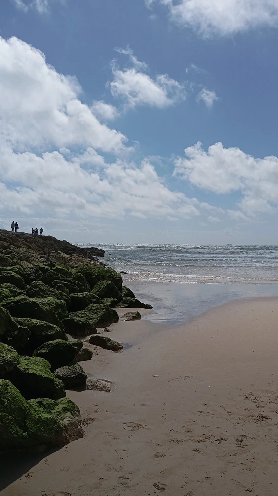 Sunday self treatment