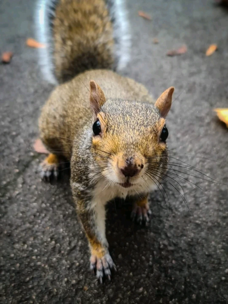 GIF uploaded by Charlotte/Charlie