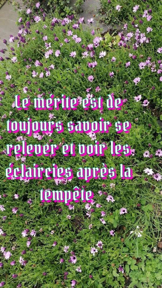 GIF ajouté par Aline