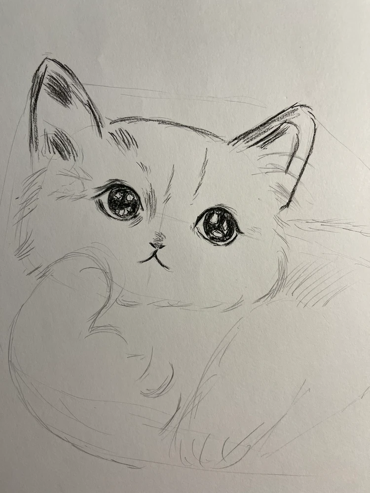 Image uploaded by Kayla