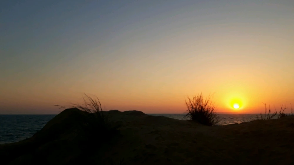 تصویر آپلود شده توسط MOHO