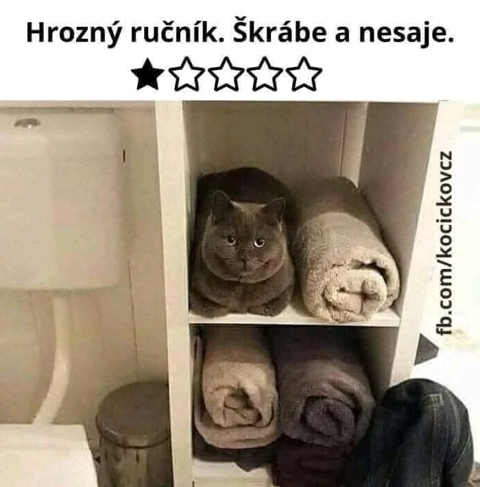 GIF nahrál Halina