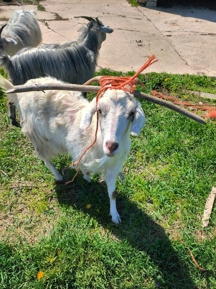 GIF uploaded by Erika Shay